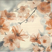Декор Newker Smile Aquarelle Beige (3шт)